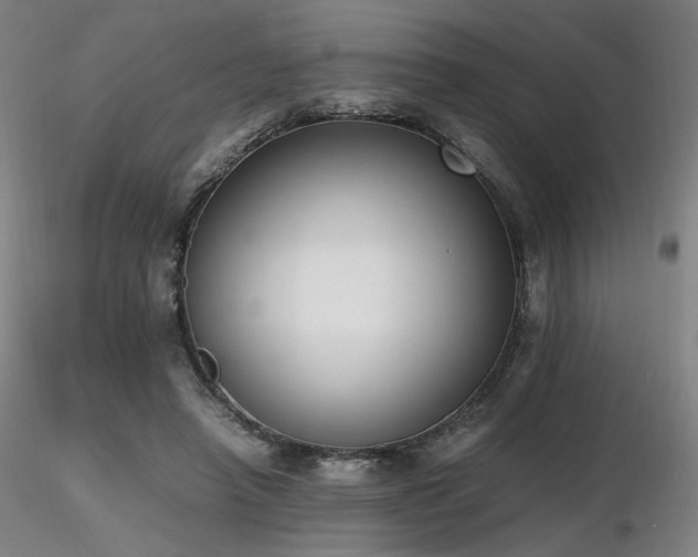 X0000116820450200912181412