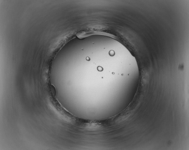 X0000116820451200912181412