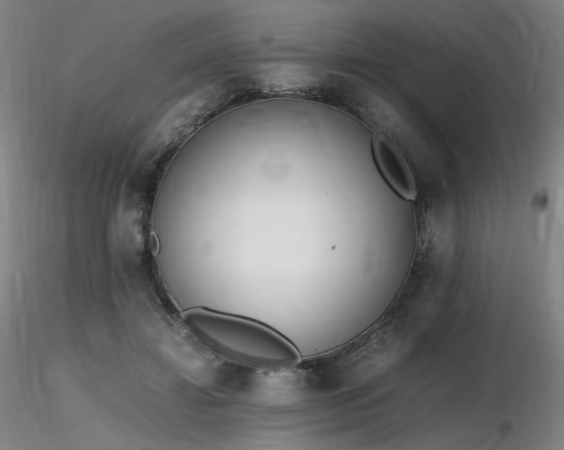 X0000116820452200912181412