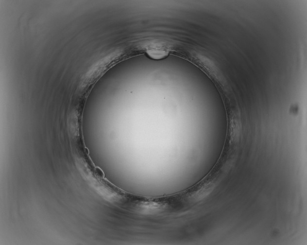 X0000116820453200912181412