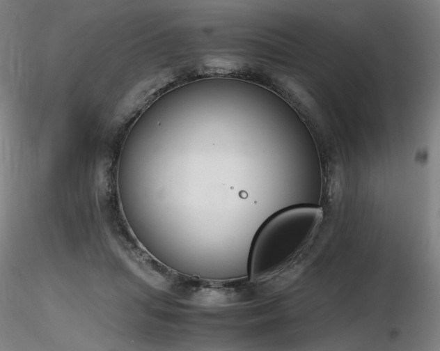 X0000116820455200912181412