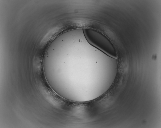 X0000116820456200912181412