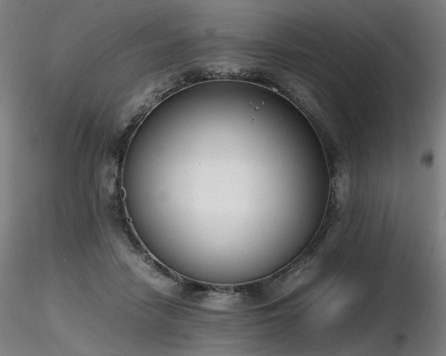 X0000116820458200912181412