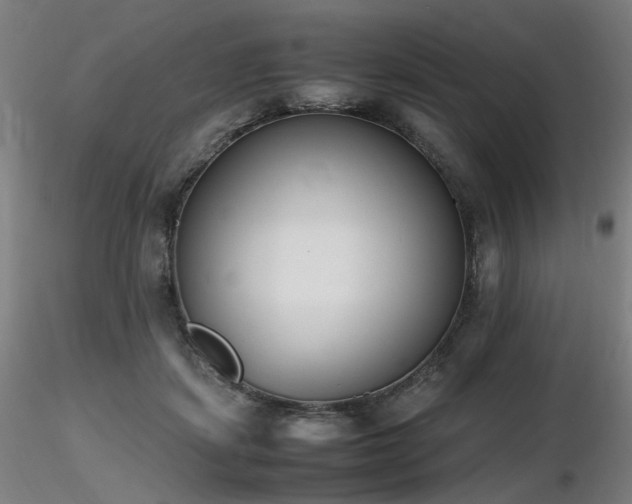 X0000116820459200912181412