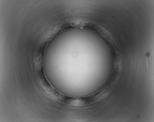 X0000116820460200912181412