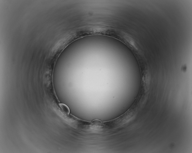 X0000116820462200912181412