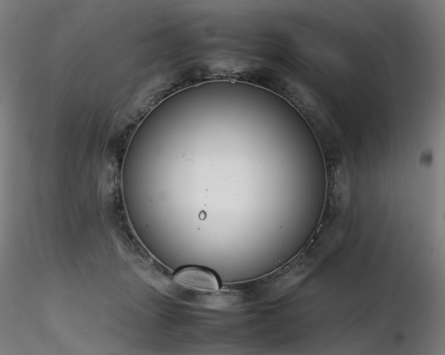 X0000116820463200912181412