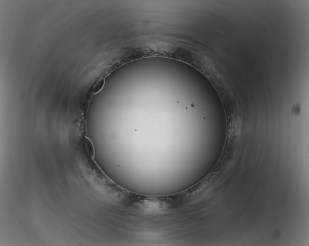 X0000116820464200912181412