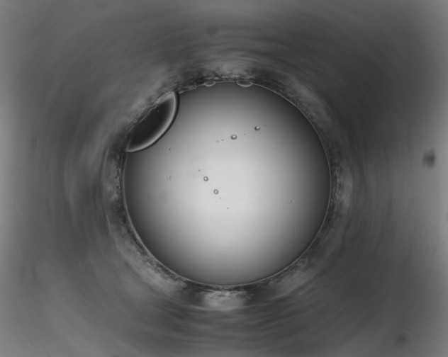 X0000116820465200912181412
