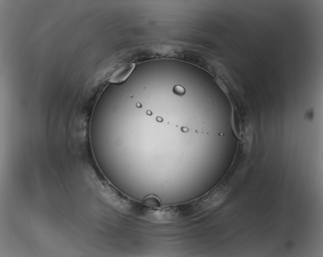 X0000116820466200912181412