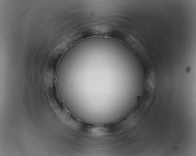 X0000116820468200912181412