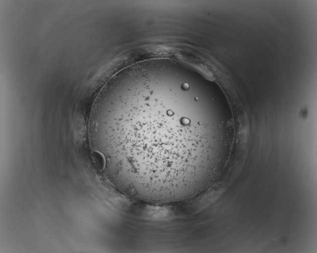 X0000116820469200912181412