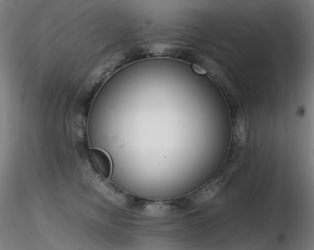 X0000116820470200912181412