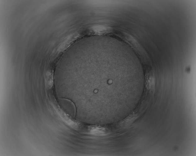 X0000116820471200912181412