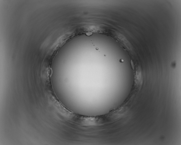 X0000116820473200912181412