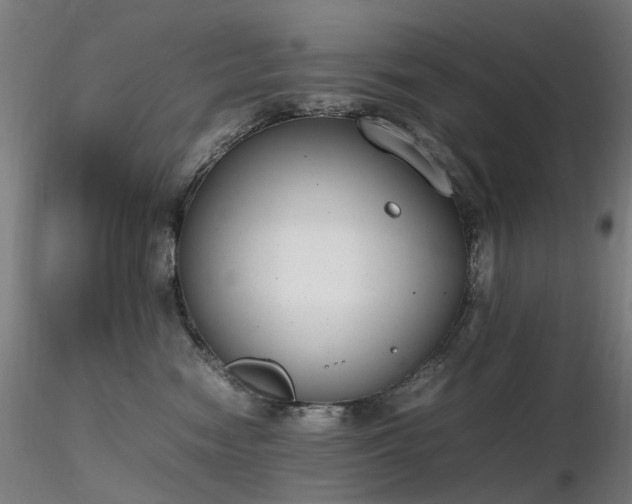 X0000116820474200912181412