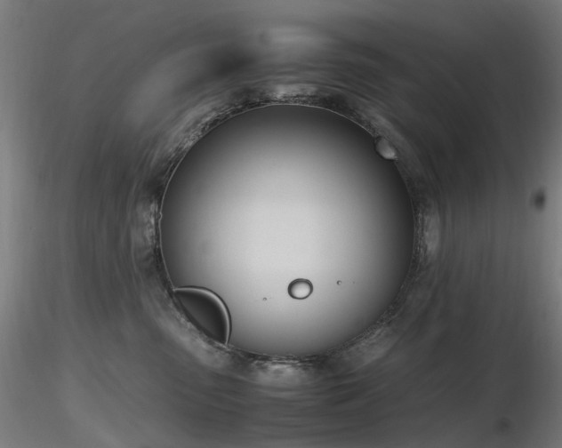 X0000116820475200912181412