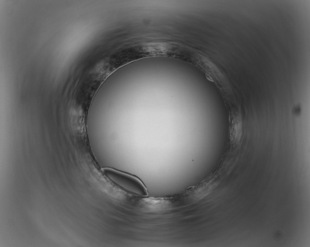 X0000116820477200912181412