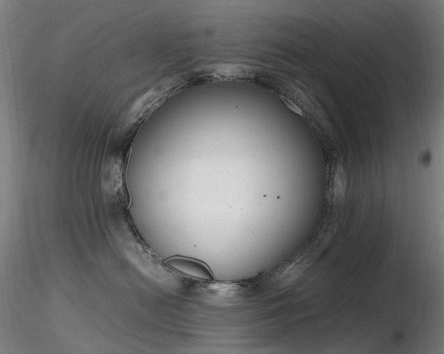 X0000116820478200912181412