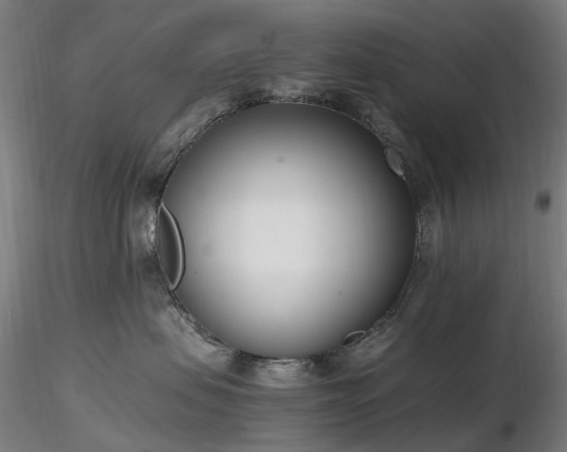 X0000116820479200912181412