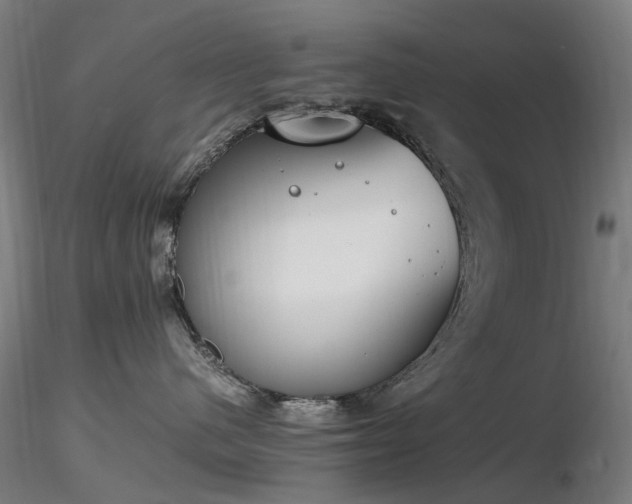 X0000116820480200912181412