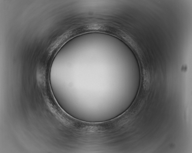 X0000116820482200912181412