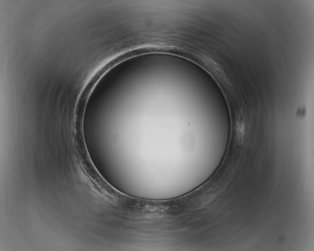 X0000116820484200912181412