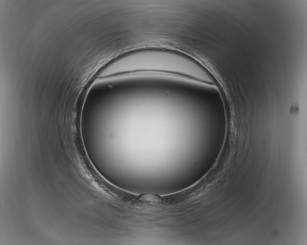 X0000116820485200912181412