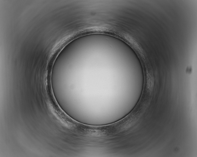 X0000116820486200912181412
