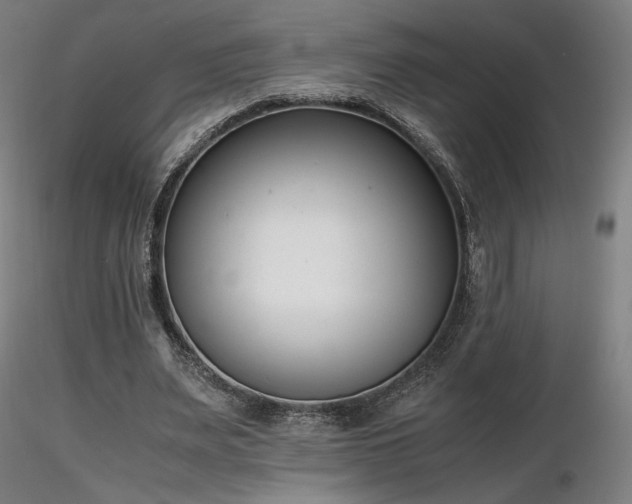 X0000116820487200912181412