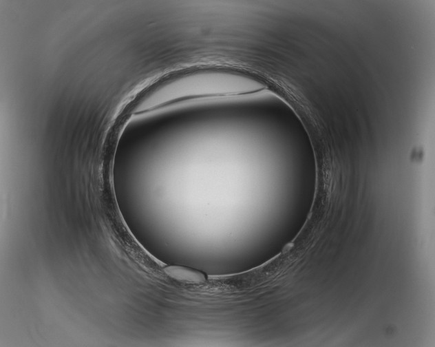 X0000116820488200912181412