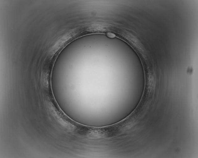 X0000116820489200912181411