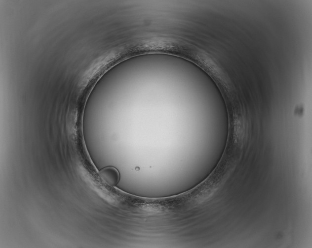 X0000116820490200912181411