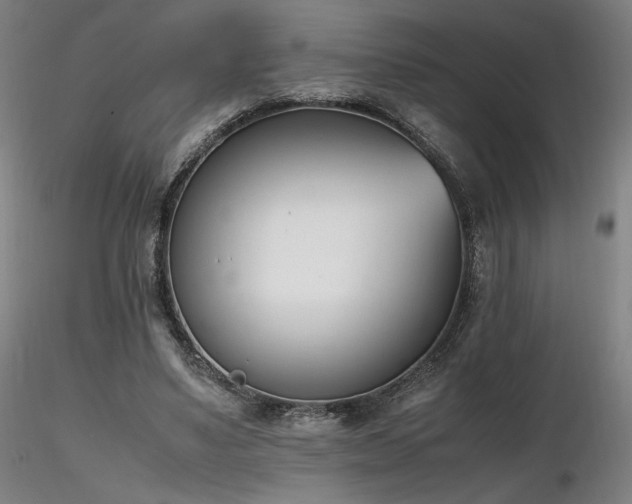 X0000116820491200912181411