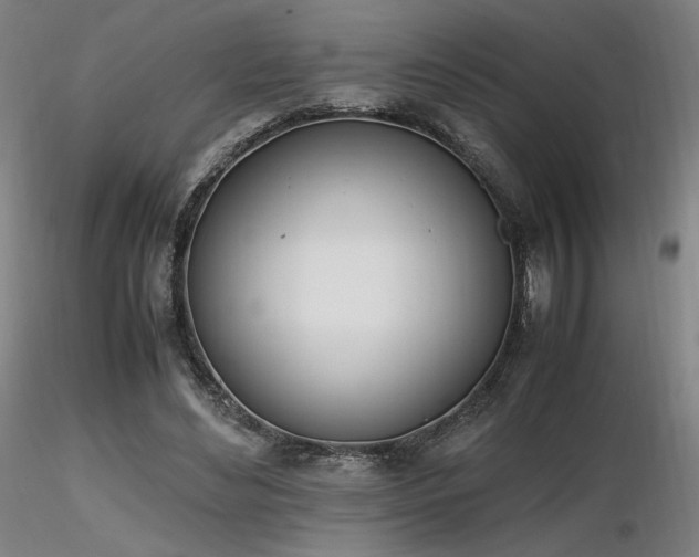 X0000116820492200912181411