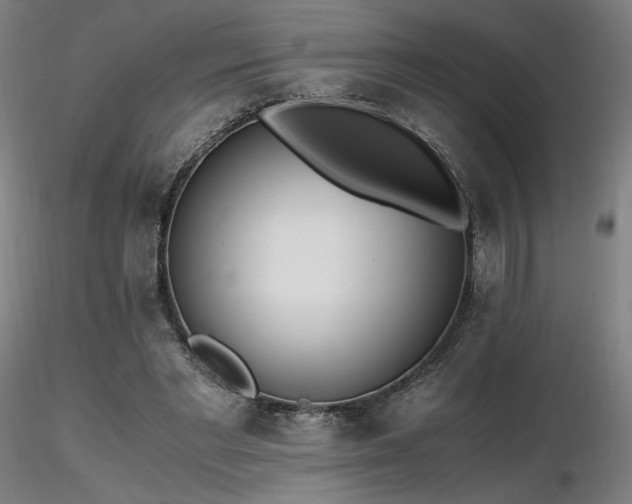 X0000116820493200912181411