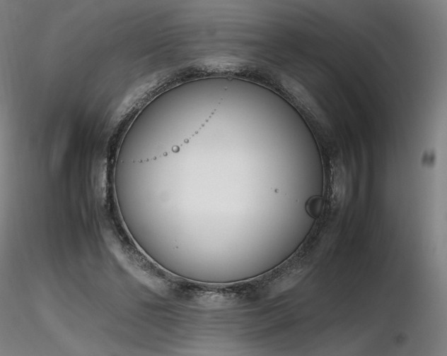 X0000116820494200912181411