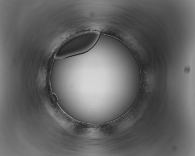 X0000116820496200912181411