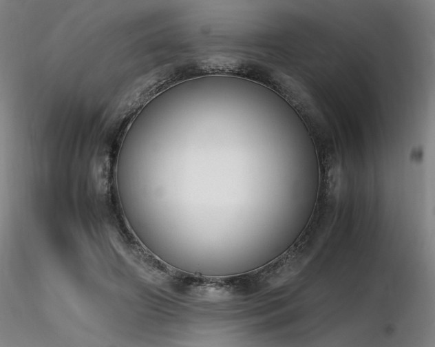 X0000116820498200912181411