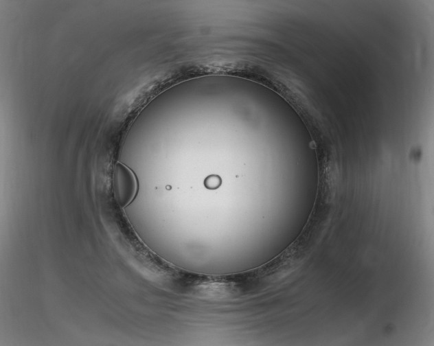 X0000116820499200912181411