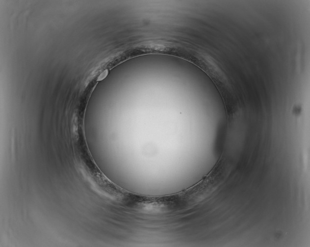 X0000116820500200912181411