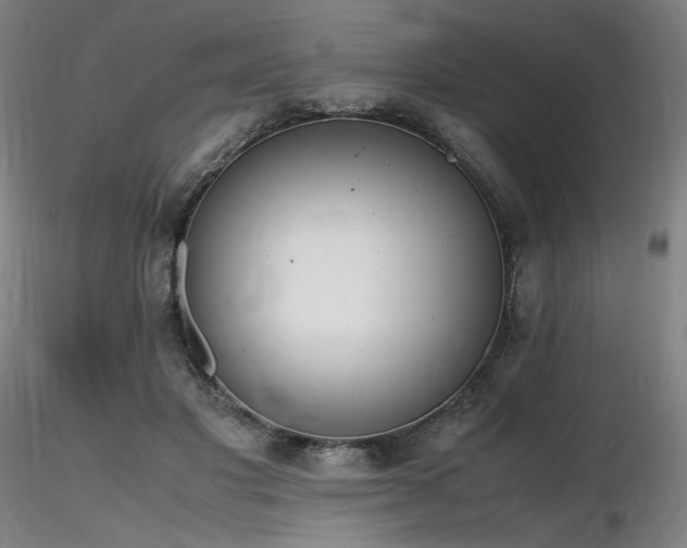 X0000116820501200912181411