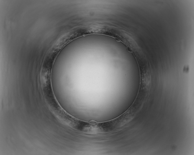 X0000116820503200912181411