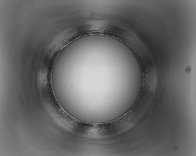 X0000116820504200912181411