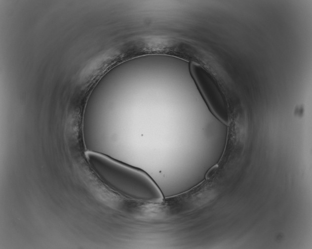 X0000116820505200912181411