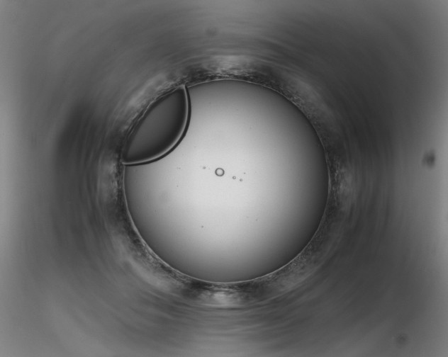 X0000116820506200912181411