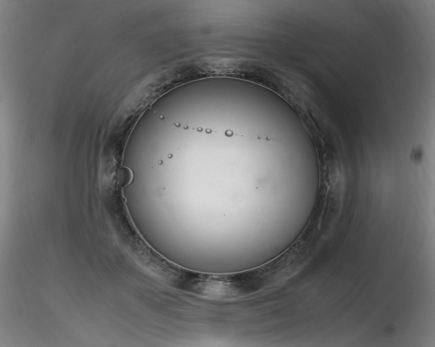 X0000116820507200912181411