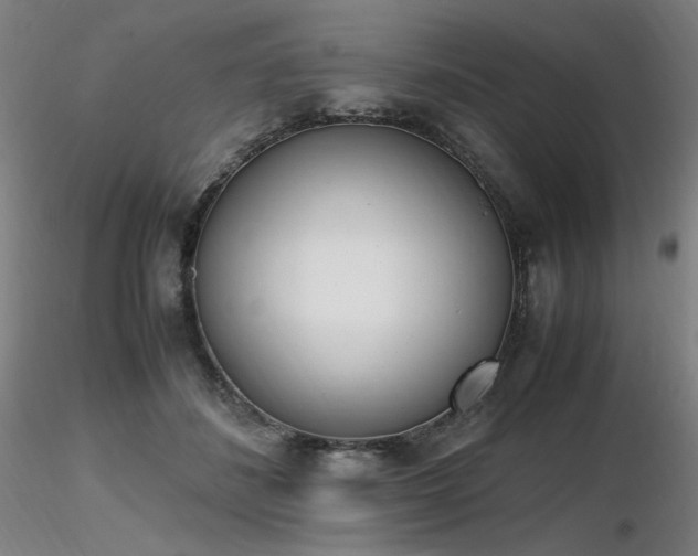 X0000116820508200912181411