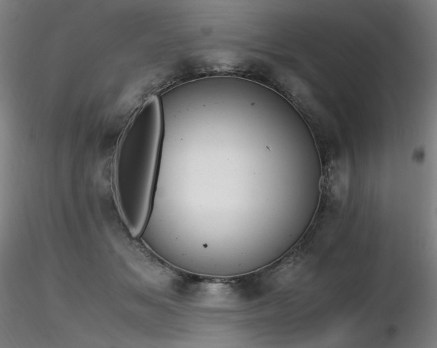 X0000116820509200912181411