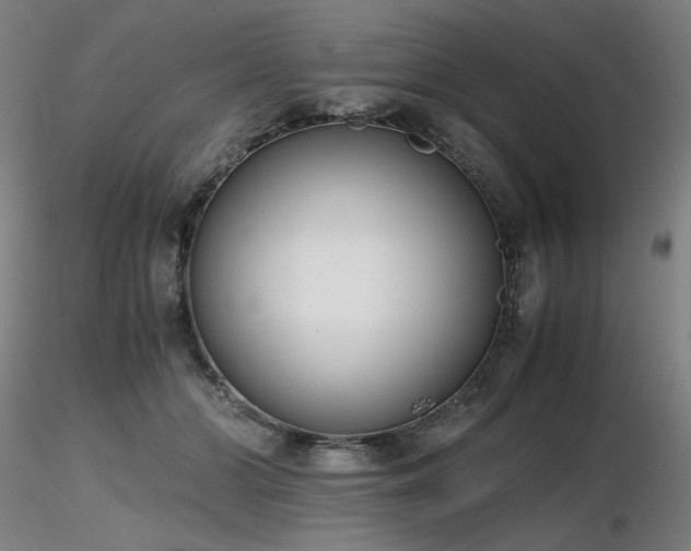 X0000116820510200912181411